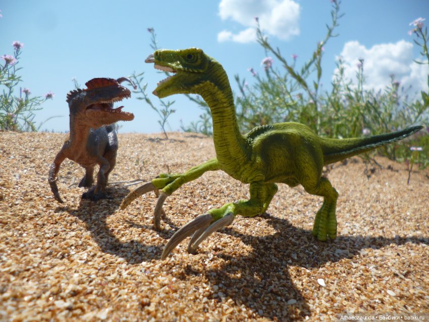 Путь на север: странные встречи