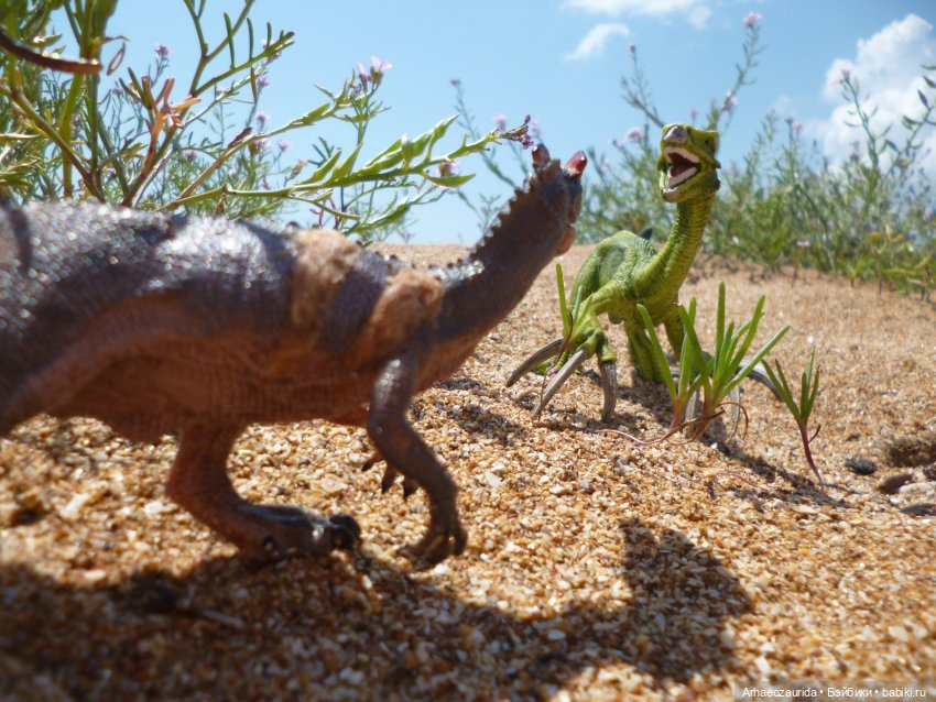 Путь на север: странные встречи