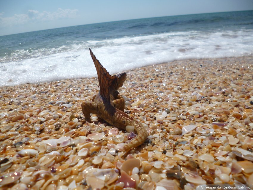 Путь на север: странные встречи