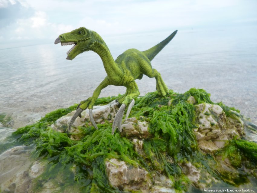 Путь на север: странные встречи (фото 7)