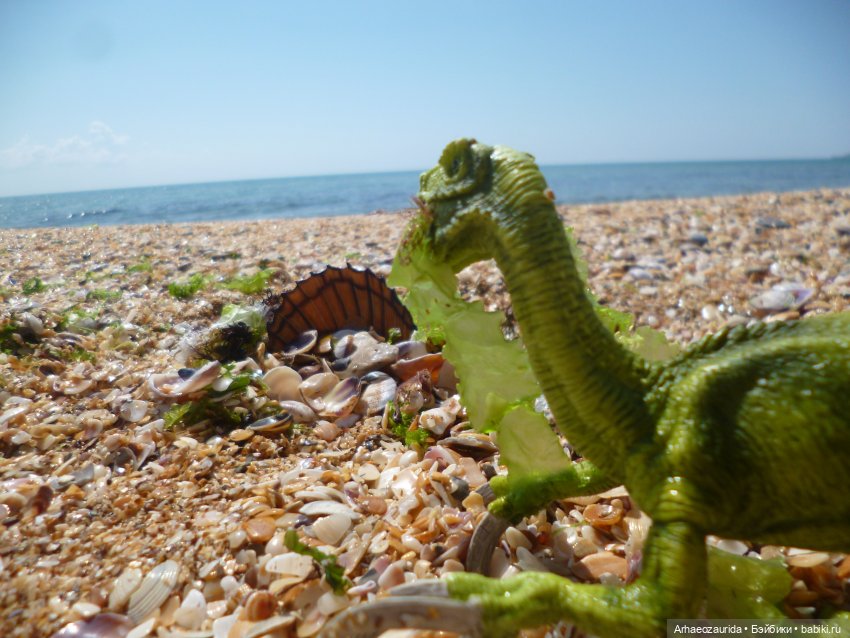 Путь на север: странные встречи