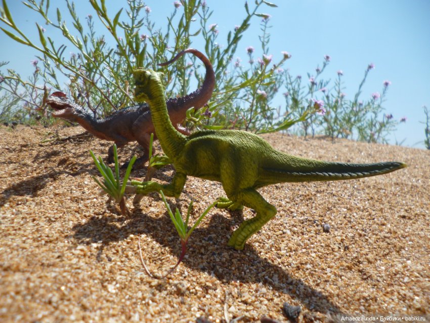 Путь на север: странные встречи