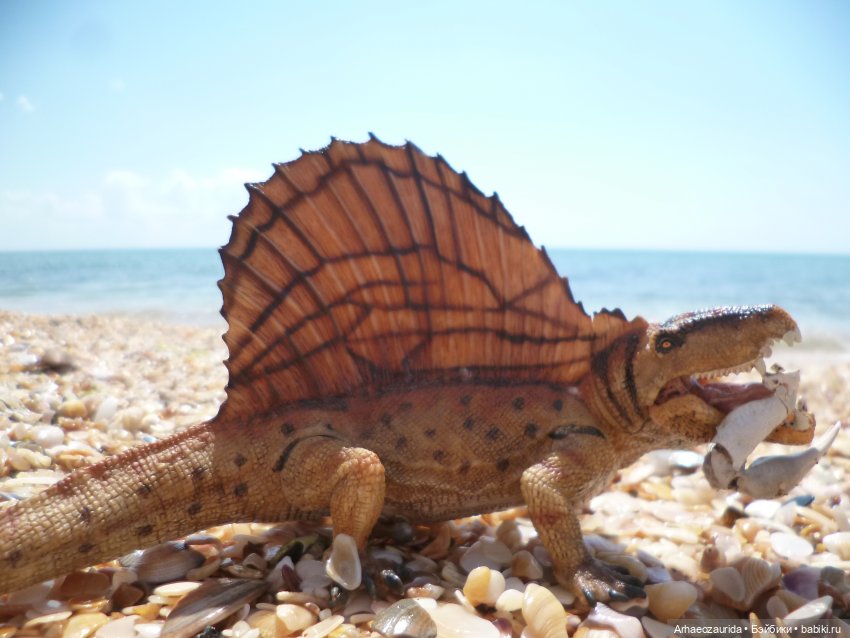 Путь на север: странные встречи