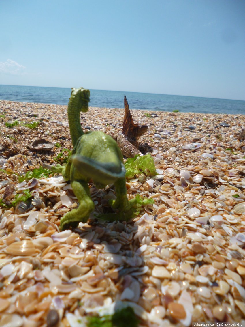 Путь на север: странные встречи