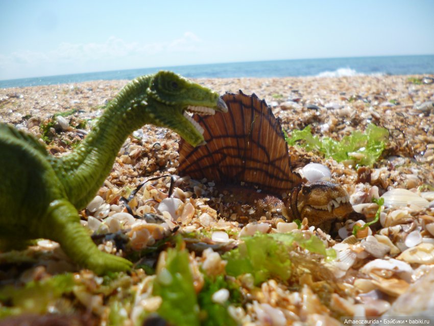 Путь на север: странные встречи