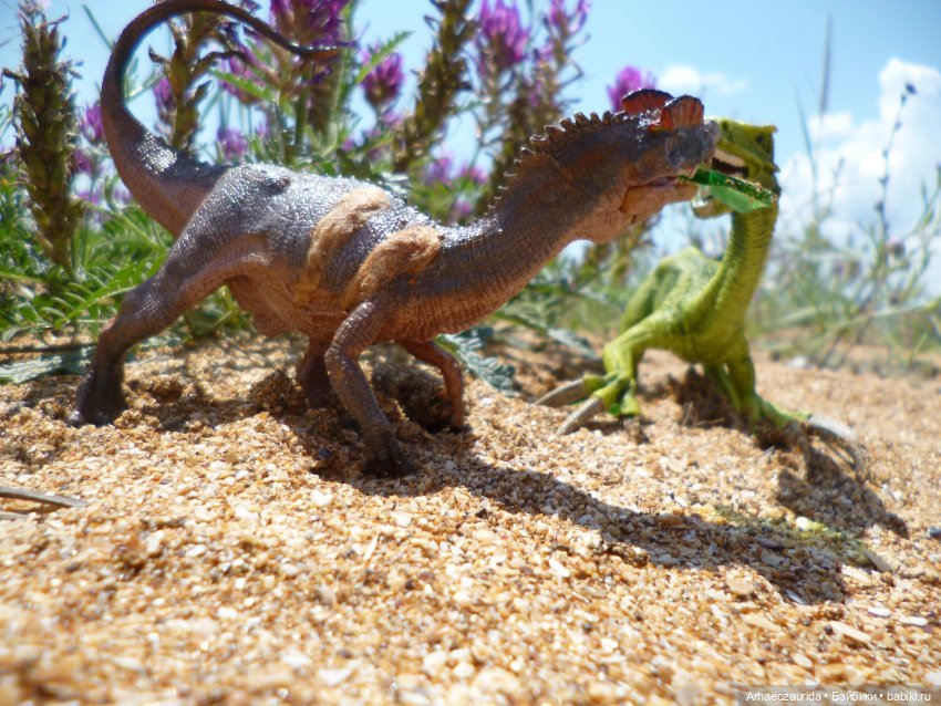 Путь на север: странные встречи