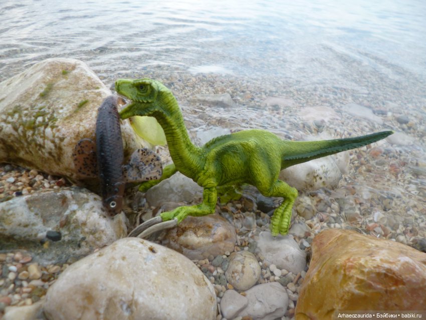 Путь на север: странные встречи (фото 9)