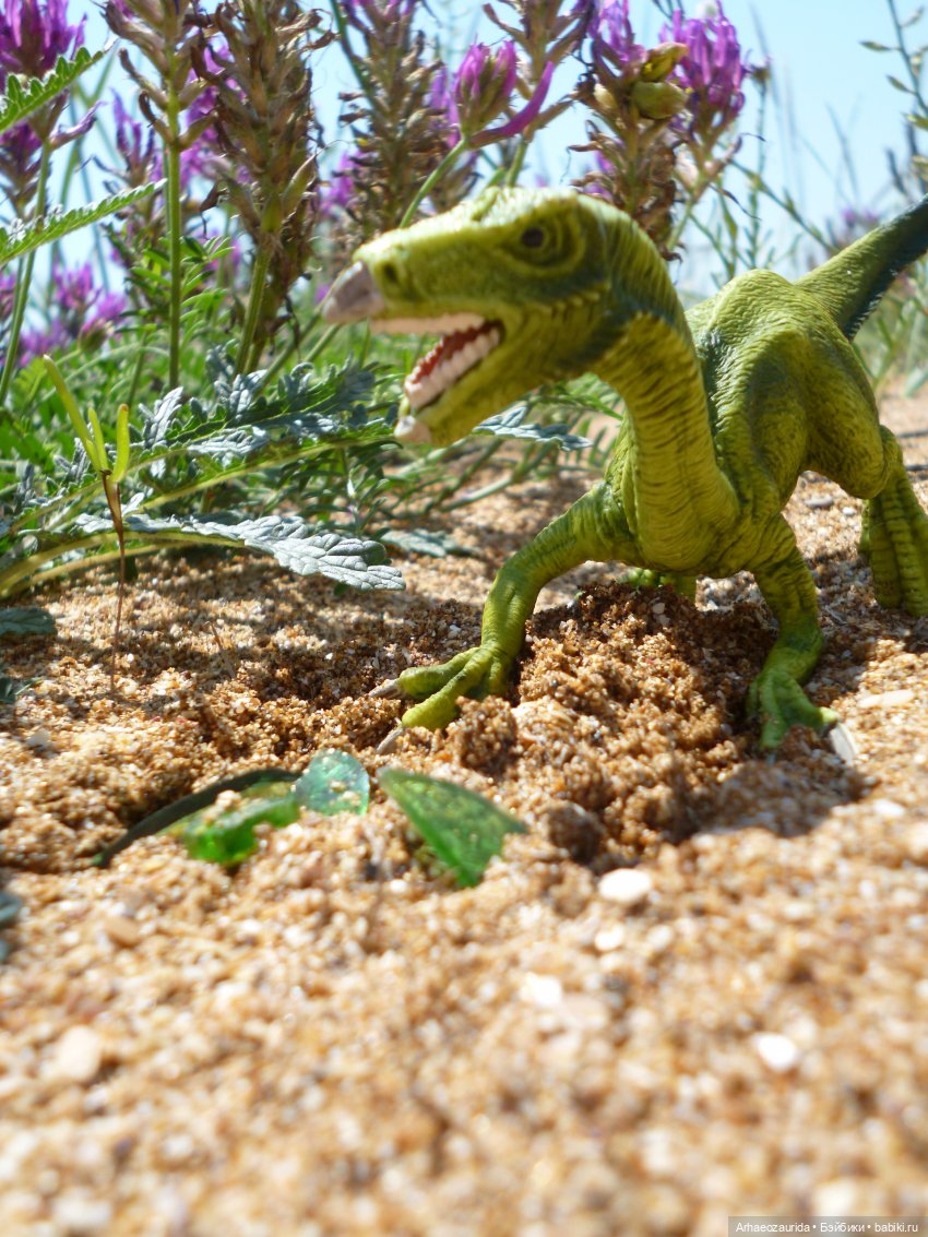 Путь на север: странные встречи