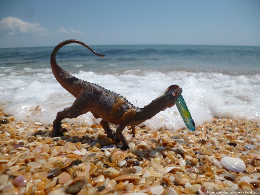 Путь на север: странные встречи