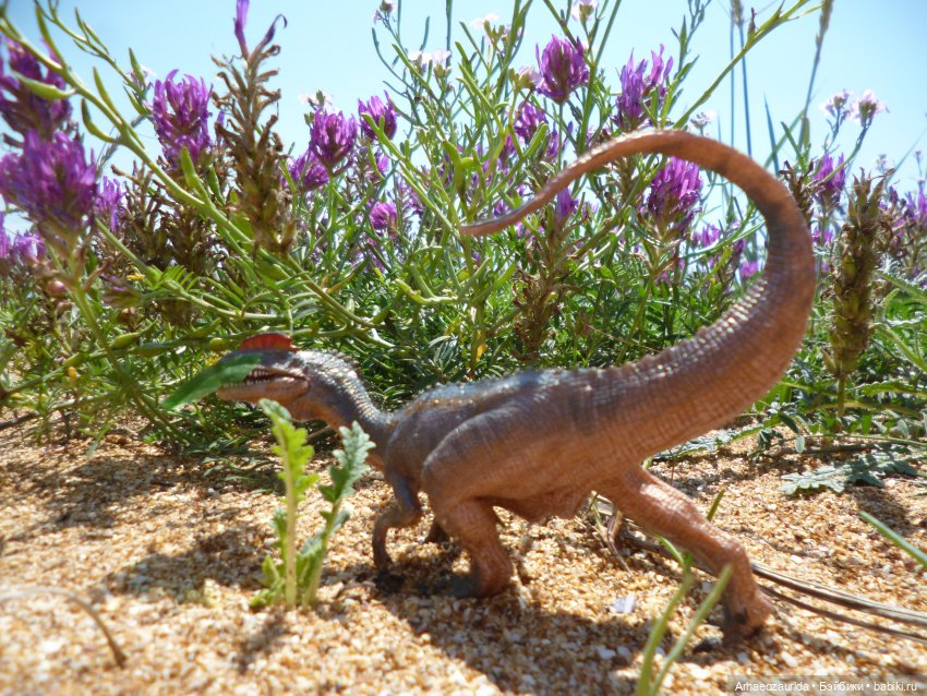 Путь на север: странные встречи