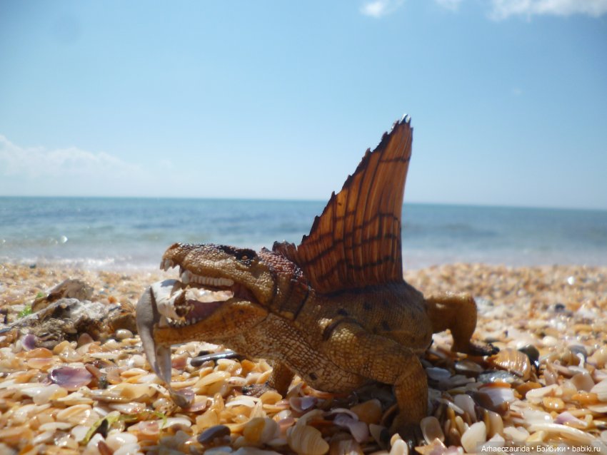 Путь на север: странные встречи