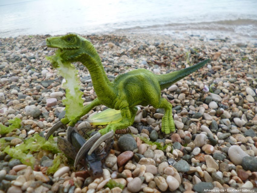 Путь на север: странные встречи (фото 6)