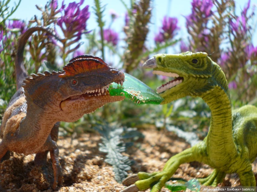 Путь на север: странные встречи