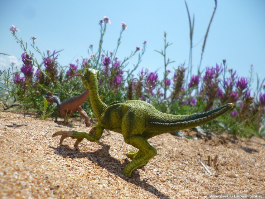 Путь на север: странные встречи