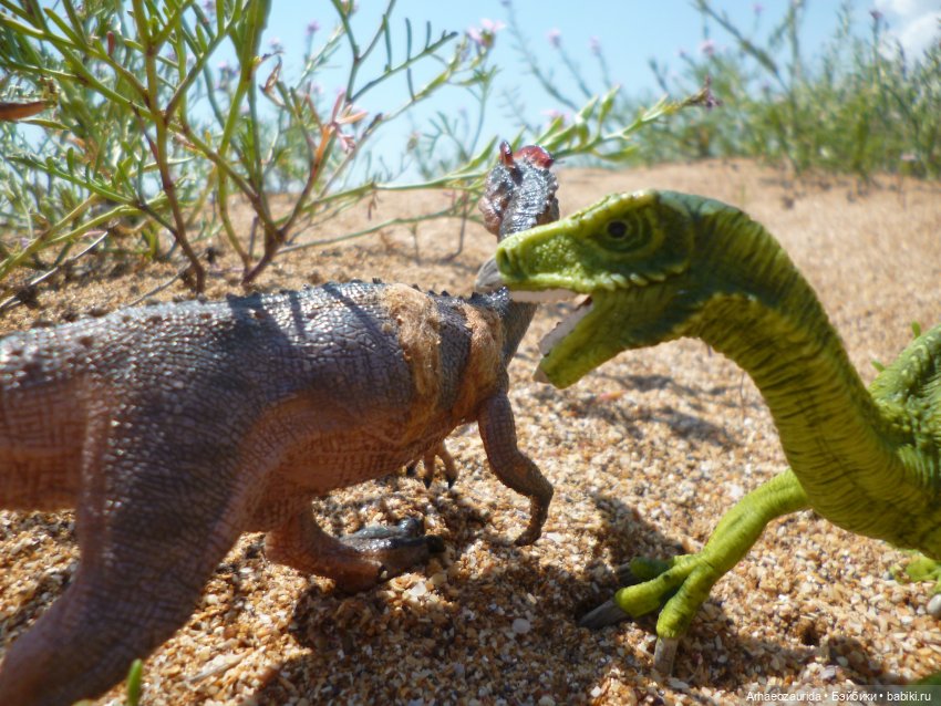 Путь на север: странные встречи