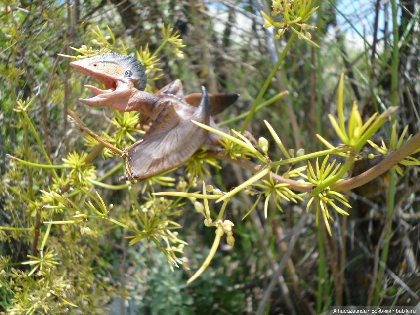 Путь на север: прощание с морем