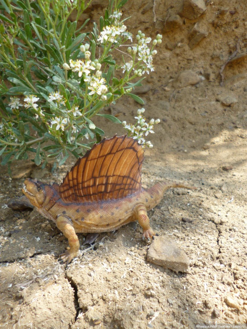 Путь на север: прощание с морем
