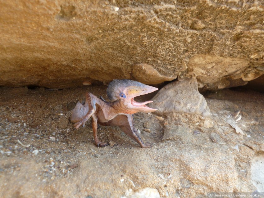 Путь на север: прощание с морем