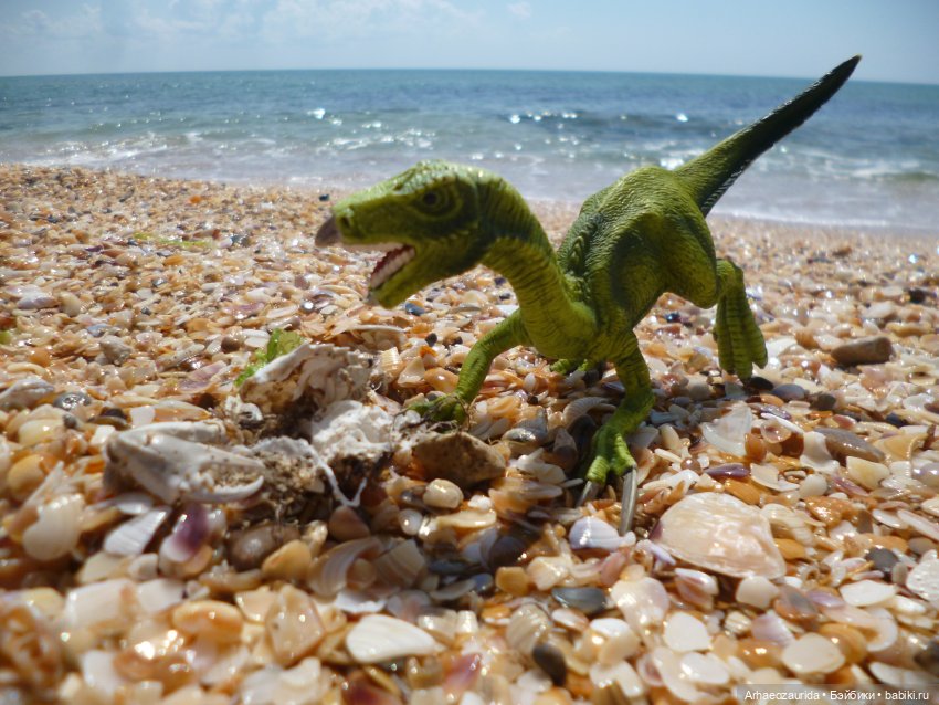 Путь на север: прощание с морем (фото 2)
