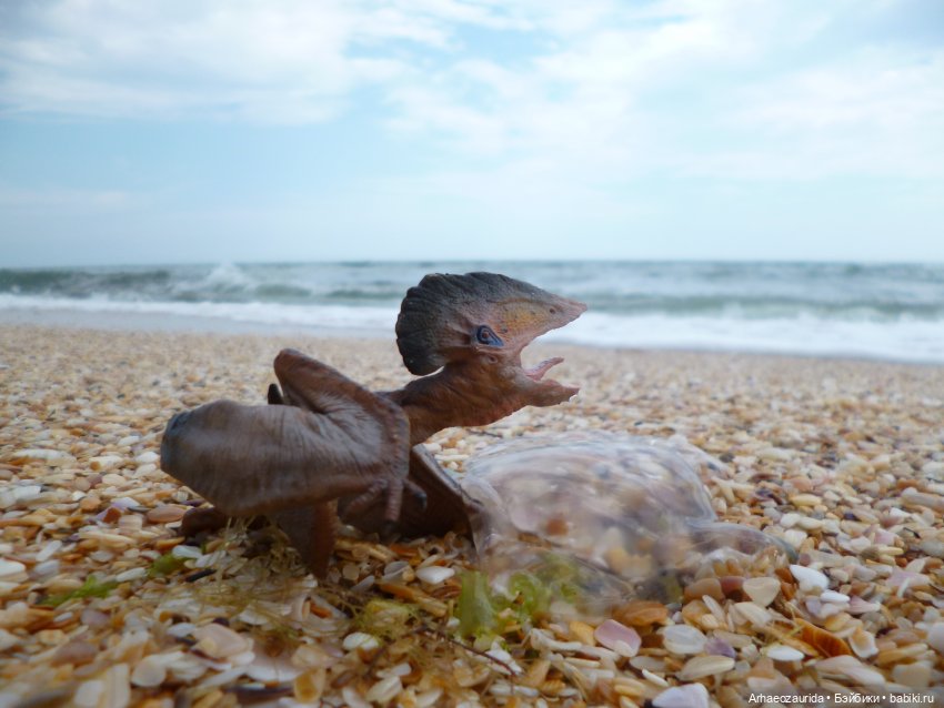 Путь на север: прощание с морем (фото 6)