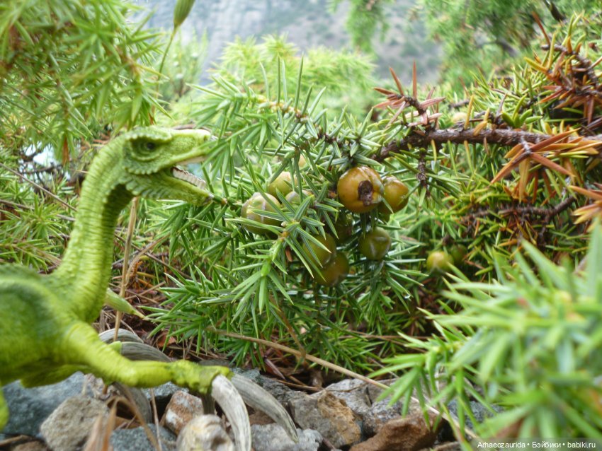 Путь на север: прощание с морем