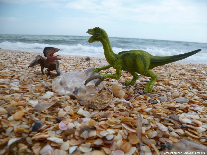 Путь на север: прощание с морем (фото 8)