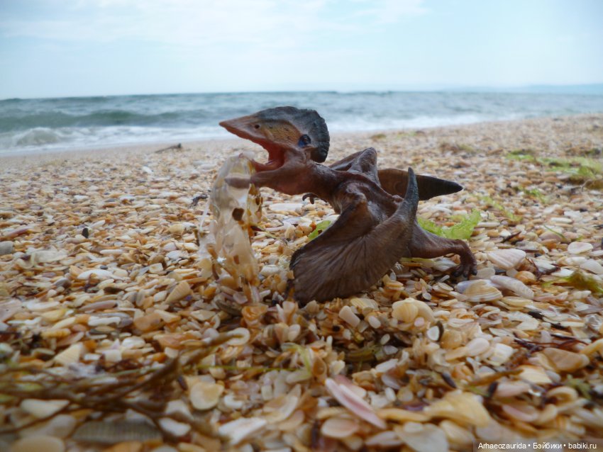 Путь на север: прощание с морем (фото 5)