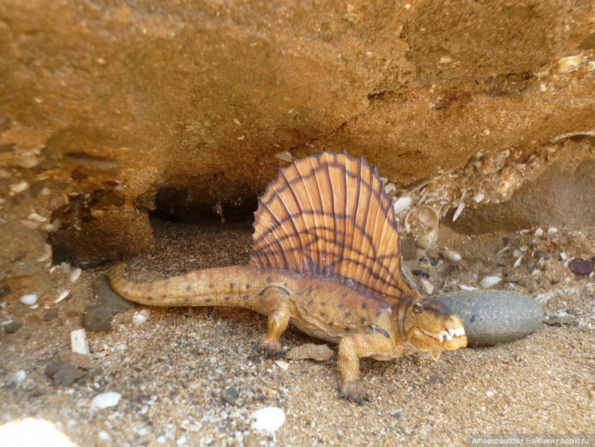 Путь на север: прощание с морем