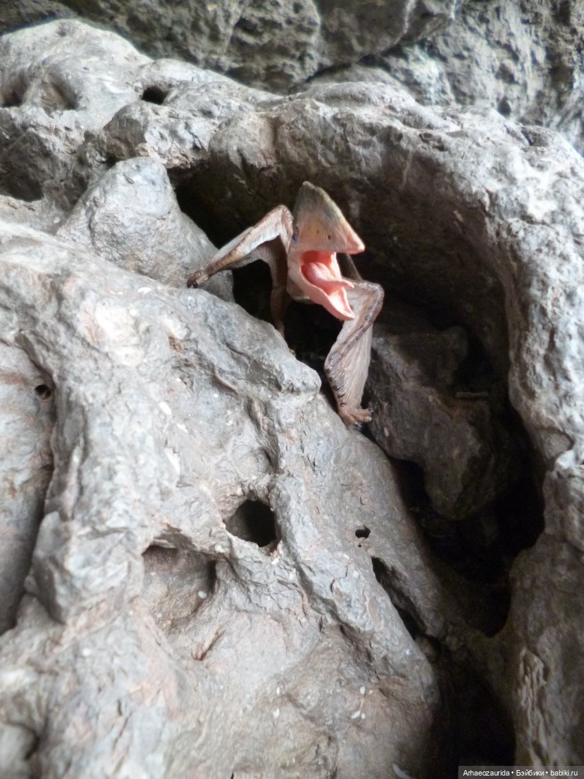 Путь на север: прощание с морем (фото 9)