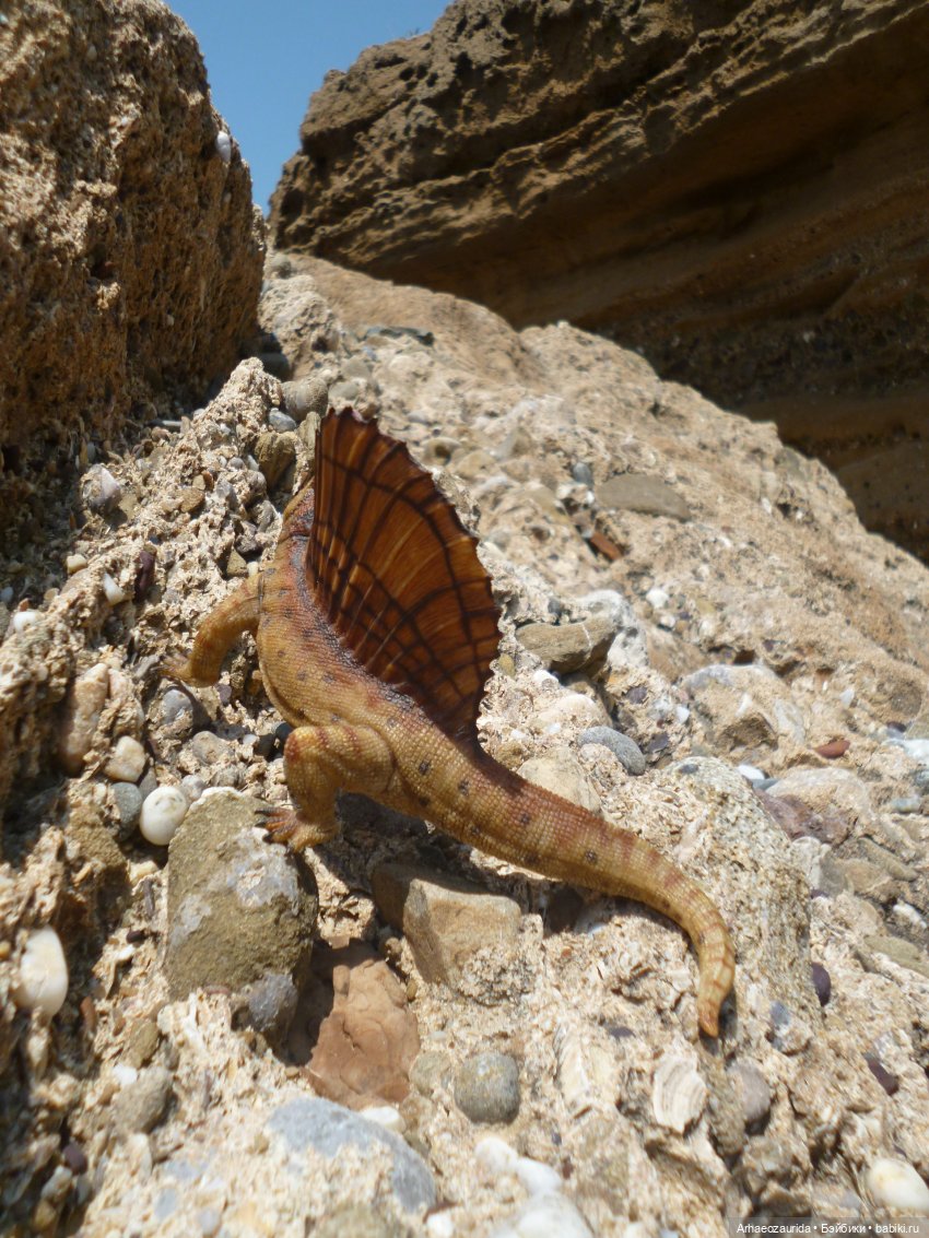 Путь на север: прощание с морем