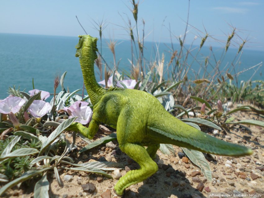 Путь на север: прощание с морем