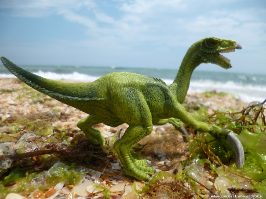 Путь на север: прощание с морем (фото 3)