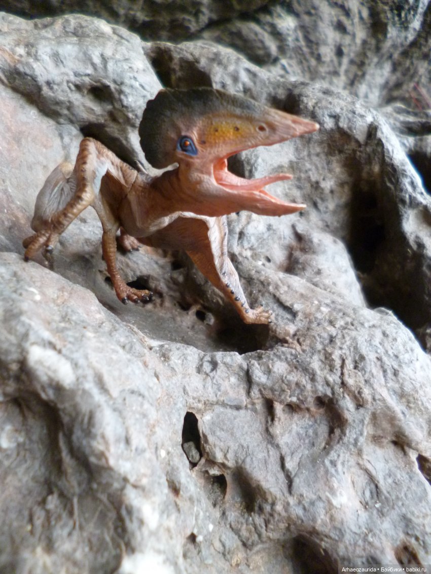 Путь на север: прощание с морем