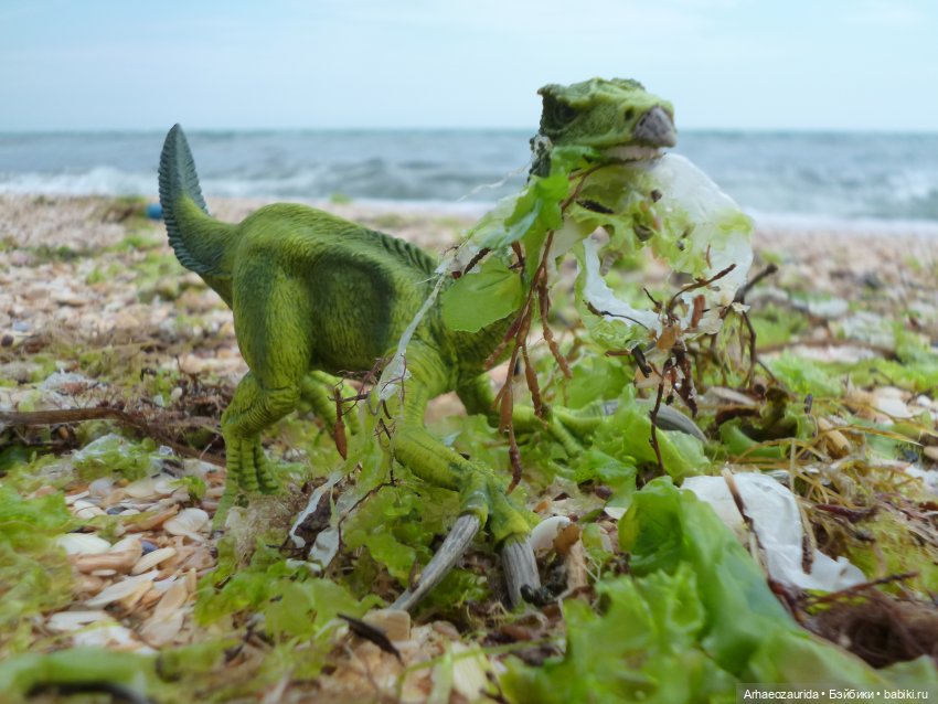 Путь на север: прощание с морем (фото 4)