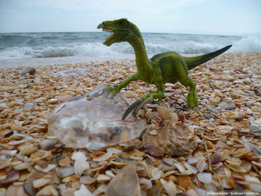 Путь на север: прощание с морем (фото 7)