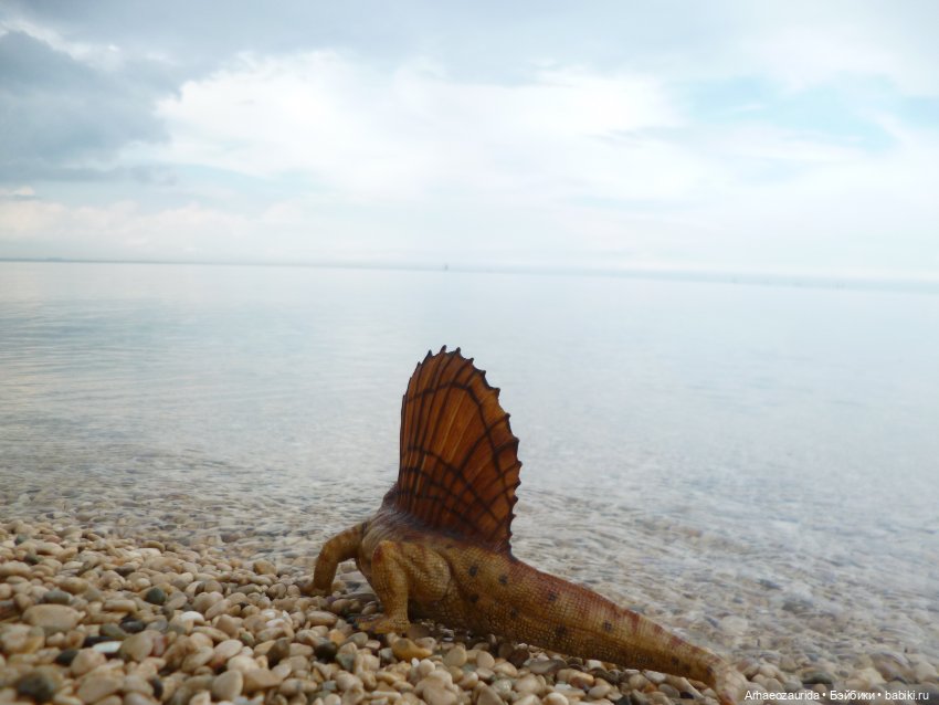 Путь на север: прощание с морем