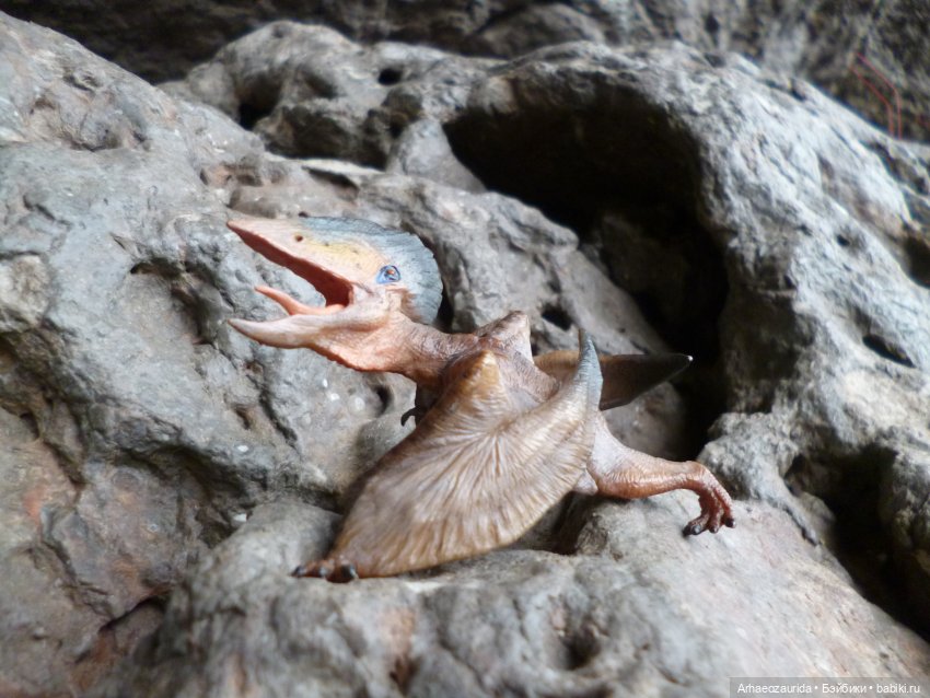 Путь на север: прощание с морем (фото 10)