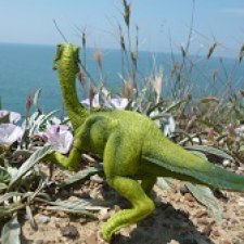 Путь на север: прощание с морем