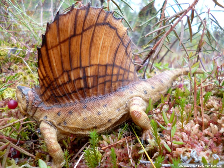 Диметродон в лесу — Интересные игрушки и фигурки (разное): редкие (фото 4)