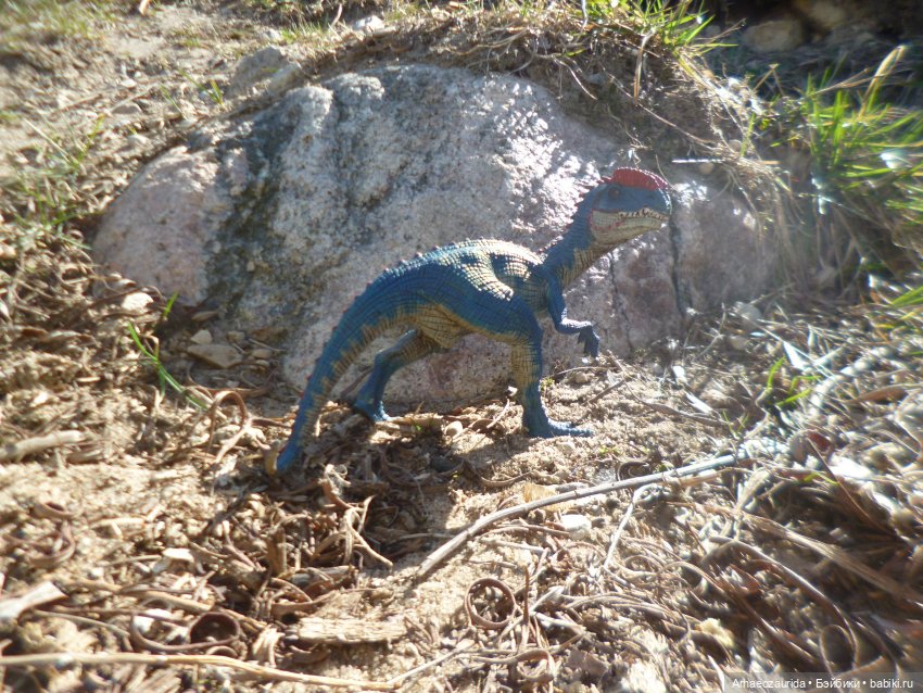 У реки: опасность под водой | Бэйбики У реки: опасность под водой (фото 5)