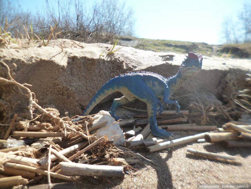 У реки: опасность под водой | Бэйбики У реки: опасность под водой (фото 2)