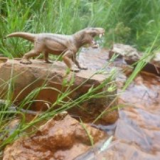 Красная река