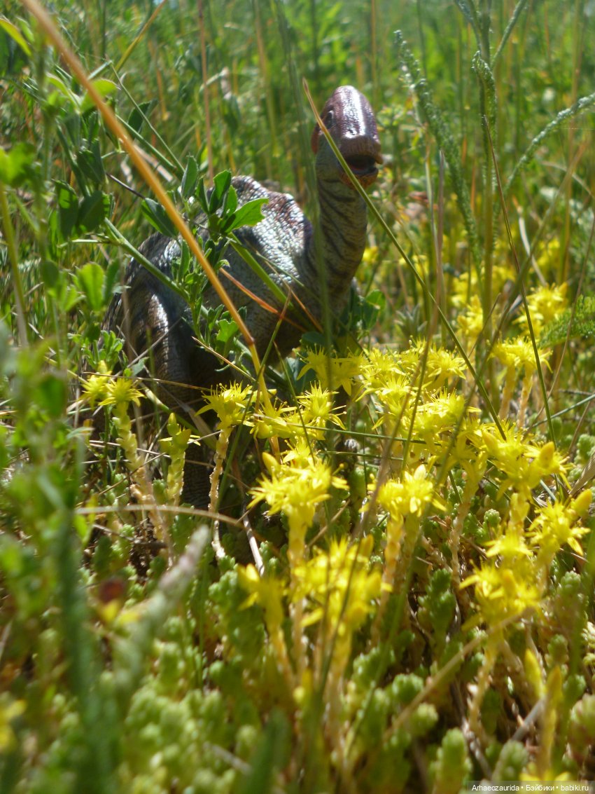 Ящеры, река и лето — Интересные игрушки и фигурки (разное): редкие (фото 7)