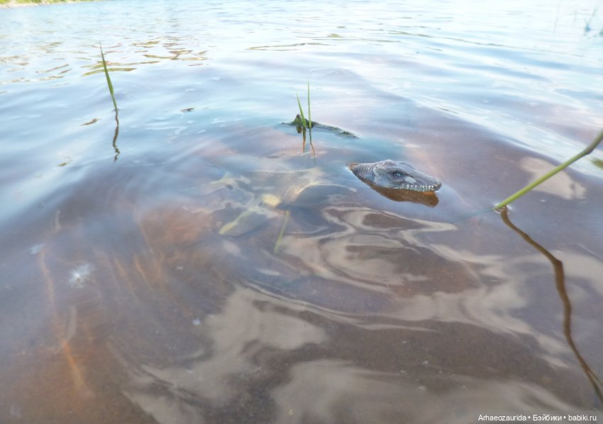 Ящеры, река и лето — Интересные игрушки и фигурки (разное): редкие (фото 10)
