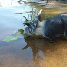 Ящеры, река и лето