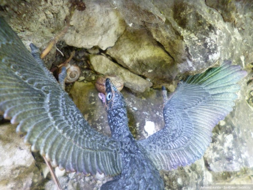 Длинная Скала: Цемийн идёт на север | Бэйбики Длинная Скала: Цемийн идёт на север (фото 10)