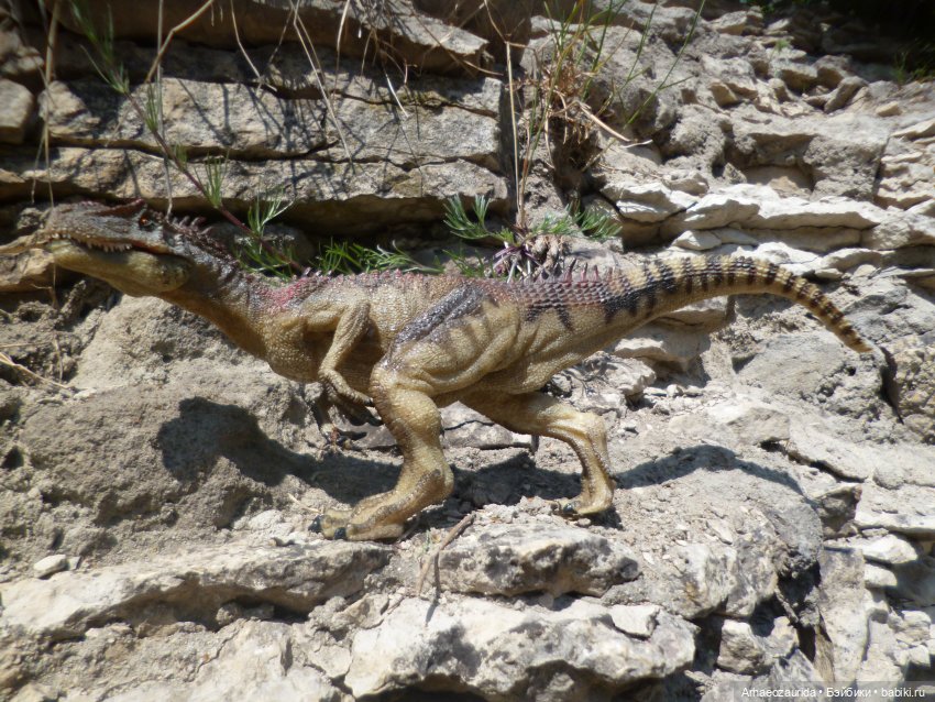 Длинная Скала: Цемийн идёт на север | Бэйбики Длинная Скала: Цемийн идёт на север (фото 8)