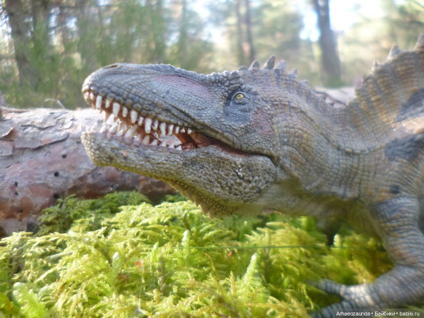 Ящеры в лесу: лес Саргиля | Бэйбики Ящеры в лесу: лес Саргиля (фото 2)