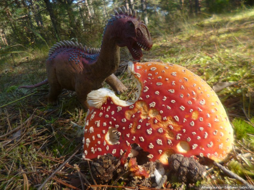 Ящеры в лесу: лес Саргиля | Бэйбики Ящеры в лесу: лес Саргиля (фото 3)