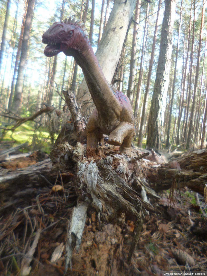 Ящеры в лесу: лес Саргиля | Бэйбики Ящеры в лесу: лес Саргиля